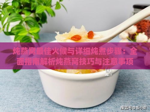 炖燕窝更佳火候与详细炖煮步骤：全面指南解析炖燕窝技巧与注意事项