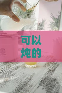 可以炖的燕窝杯子叫什么