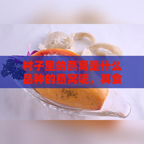 村子里的燕窝是什么品种的燕窝呢，其食用方法及特点解析