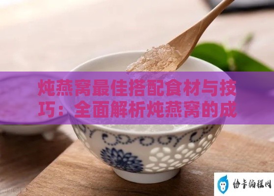 炖燕窝更佳搭配食材与技巧：全面解析炖燕窝的成功窍门