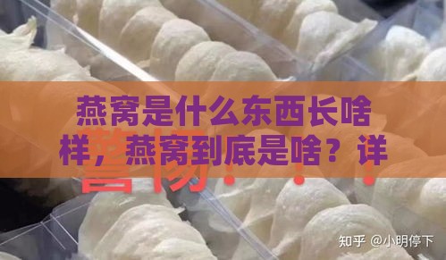 燕窝是什么东西长啥样，燕窝到底是啥？详解其形态与特性