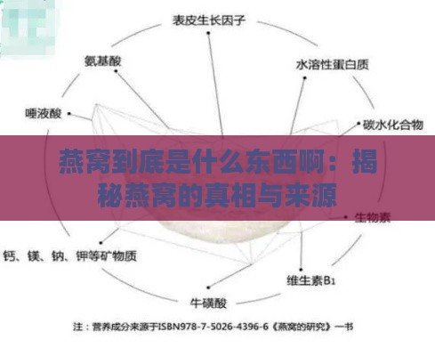 燕窝到底是什么东西啊：揭秘燕窝的真相与来源