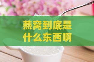 燕窝到底是什么东西啊：揭秘燕窝的真相与来源