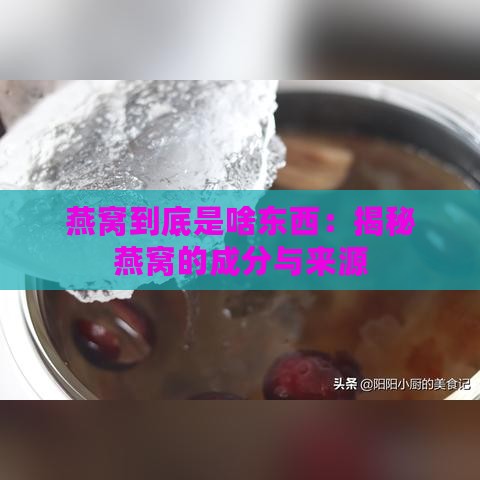 燕窝到底是啥东西：揭秘燕窝的成分与来源