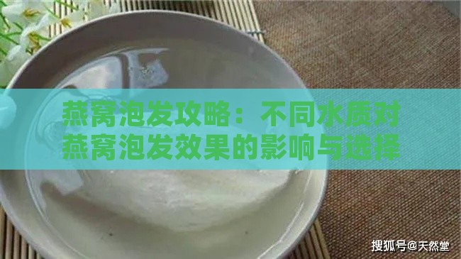 燕窝泡发攻略：不同水质对燕窝泡发效果的影响与选择指南