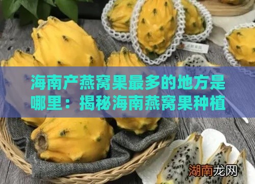 海南产燕窝果最多的地方是哪里：揭秘海南燕窝果种植重镇