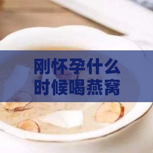 刚怀孕什么时候喝燕窝好