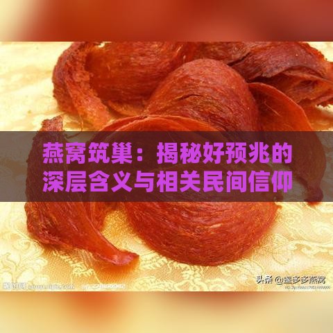 燕窝筑巢：揭秘好预兆的深层含义与相关民间信仰解析