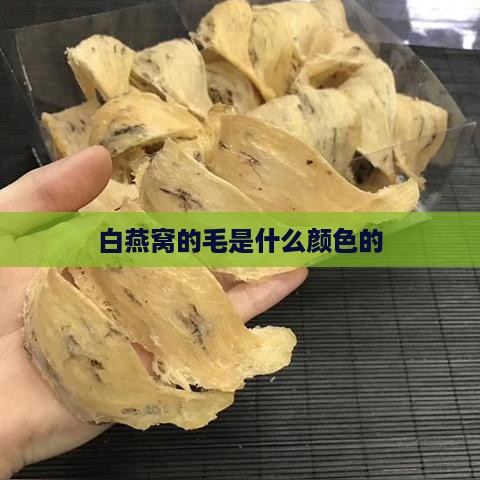 白燕窝的毛是什么颜色的