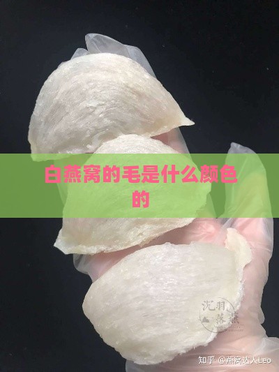 白燕窝的毛是什么颜色的