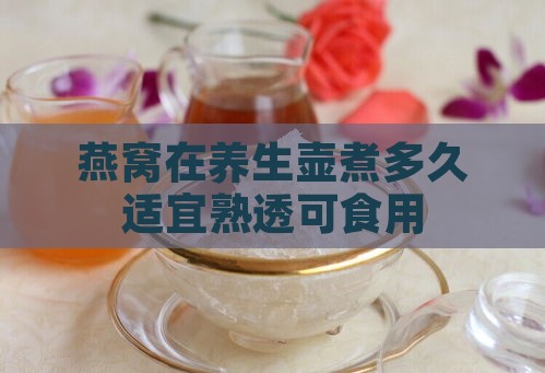 燕窝在养生壶煮多久适宜熟透可食用