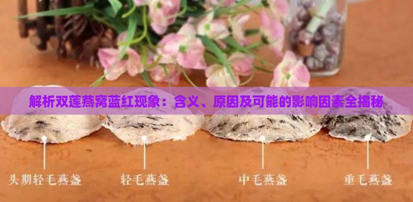 解析双莲燕窝蓝红现象：含义、原因及可能的影响因素全揭秘