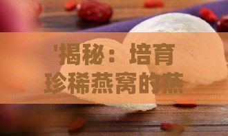 '揭秘：培育珍稀燕窝的燕子品种及其独特名称'