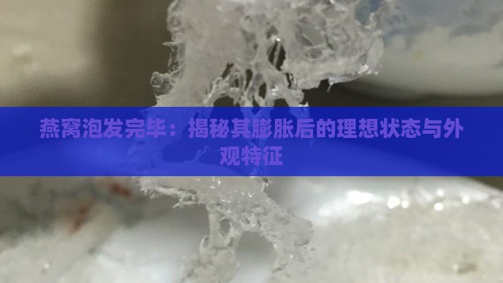 燕窝泡发完毕：揭秘其膨胀后的理想状态与外观特征