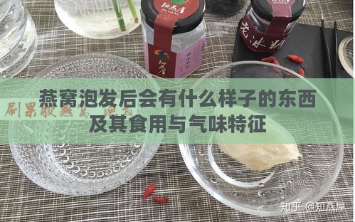 燕窝泡发后会有什么样子的东西及其食用与气味特征