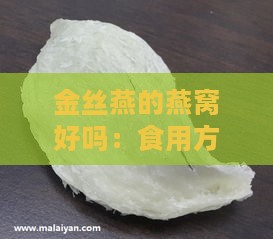 金丝燕的燕窝好吗：食用方法、制作原料及功效作用解析