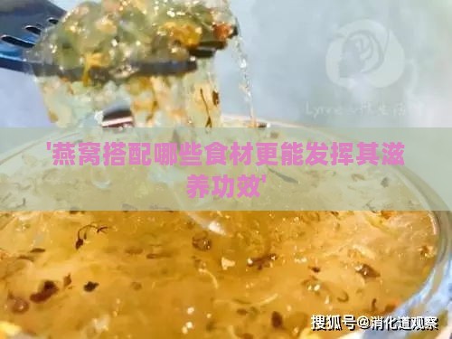 '燕窝搭配哪些食材更能发挥其滋养功效'