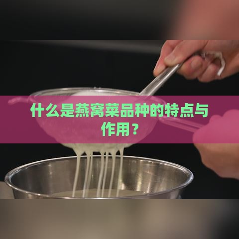 什么是燕窝菜品种的特点与作用？