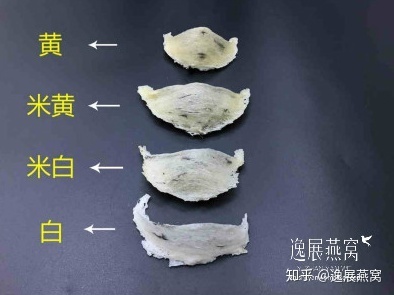 燕窝是啥颜色：正品燕窝的色泽与品质鉴别