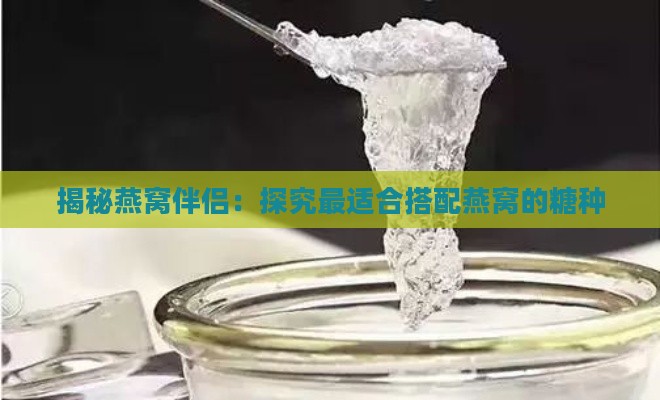 揭秘燕窝伴侣：探究最适合搭配燕窝的糖种