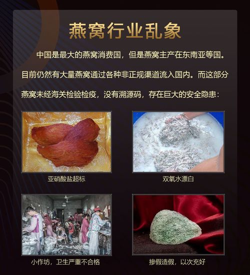 燕窝乱象是什么意思