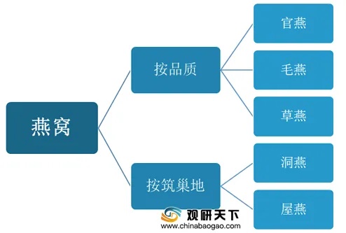 如何精准定位燕窝产品分类以提升市场销量：聚焦热门零售类目