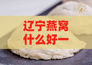 辽宁燕窝什么好一点