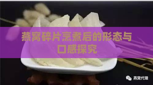 燕窝碎片烹煮后的形态与口感探究