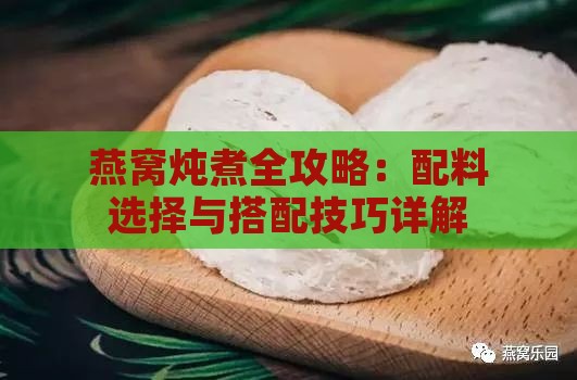 燕窝炖煮全攻略：配料选择与搭配技巧详解