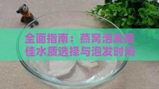 全面指南：燕窝泡发更佳水质选择与泡发时间详解