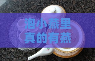 泡小燕里真的有燕窝吗？泡小燕燕窝饮值得买吗能食用吗？