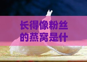 长得像粉丝的燕窝是什么品种：揭秘罕见燕窝品种特征与区别