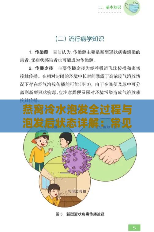 燕窝冷水泡发全过程与泡发后状态详解：常见问题与注意事项指南