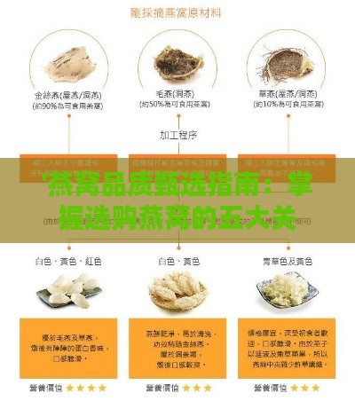 '燕窝品质甄选指南：掌握选购燕窝的五大关键标准'