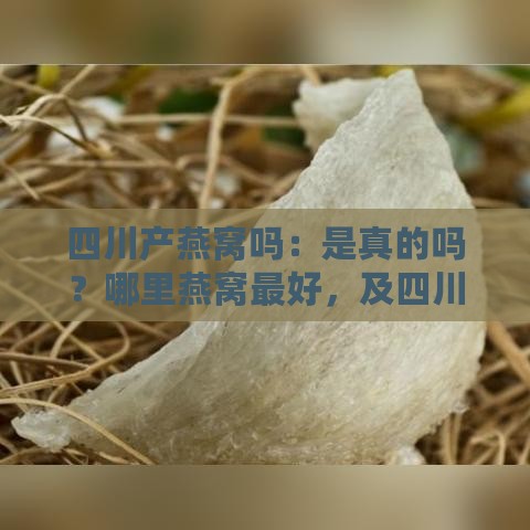 四川产燕窝吗：是真的吗？哪里燕窝更好，及四川燕子分布情况