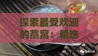 探索更受欢迎的燕窝：精选好听且具特色的燕窝名称一览