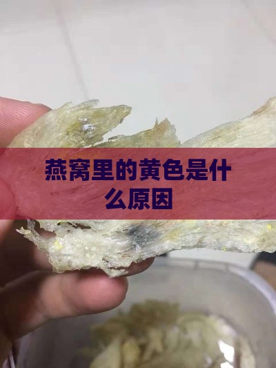 燕窝里的黄色是什么原因