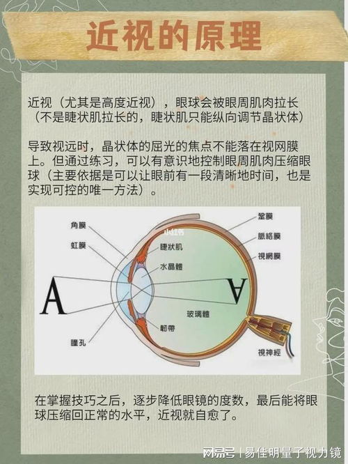 揭秘：燕窝中发现气泡，探究其成因与影响