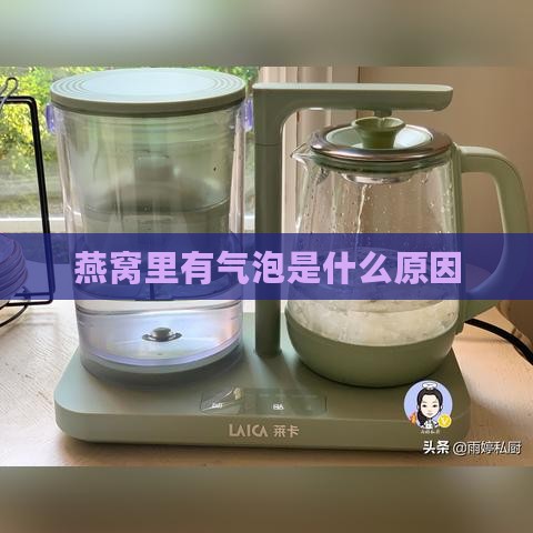 燕窝里有气泡是什么原因