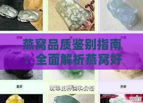 燕窝品质鉴别指南：全面解析燕窝好坏的衡量标准与挑选技巧