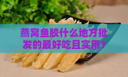 燕窝鱼胶什么地方批发的更好吃且实用？