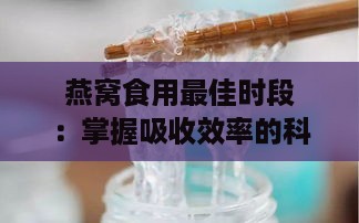 燕窝食用更佳时段：掌握吸收效率的科学时机