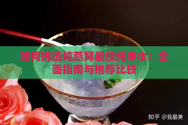 如何挑选炖燕窝更佳纯净水：全面指南与推荐比较