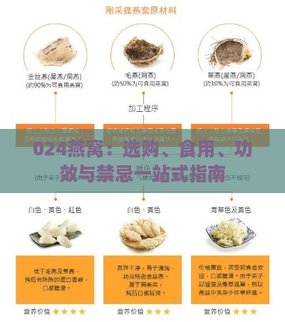 024燕窝：选购、食用、功效与禁忌一站式指南