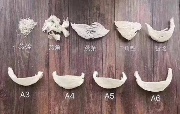 燕窝24条是什么意思啊