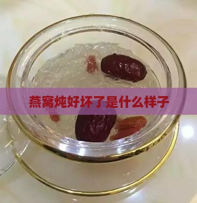 燕窝炖好坏了是什么样子