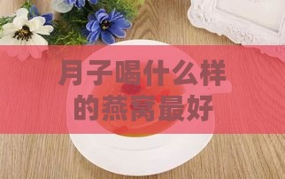 月子喝什么样的燕窝更好