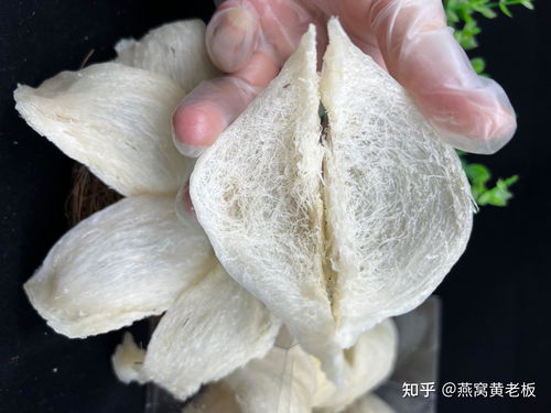 雪燕和燕窝一样吗：可食用方法及区别对比