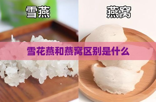 雪花燕和燕窝区别是什么