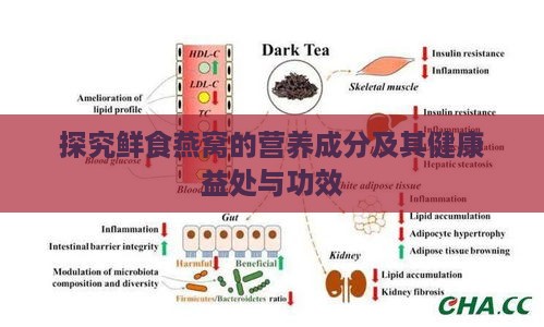 探究鲜食燕窝的营养成分及其健康益处与功效